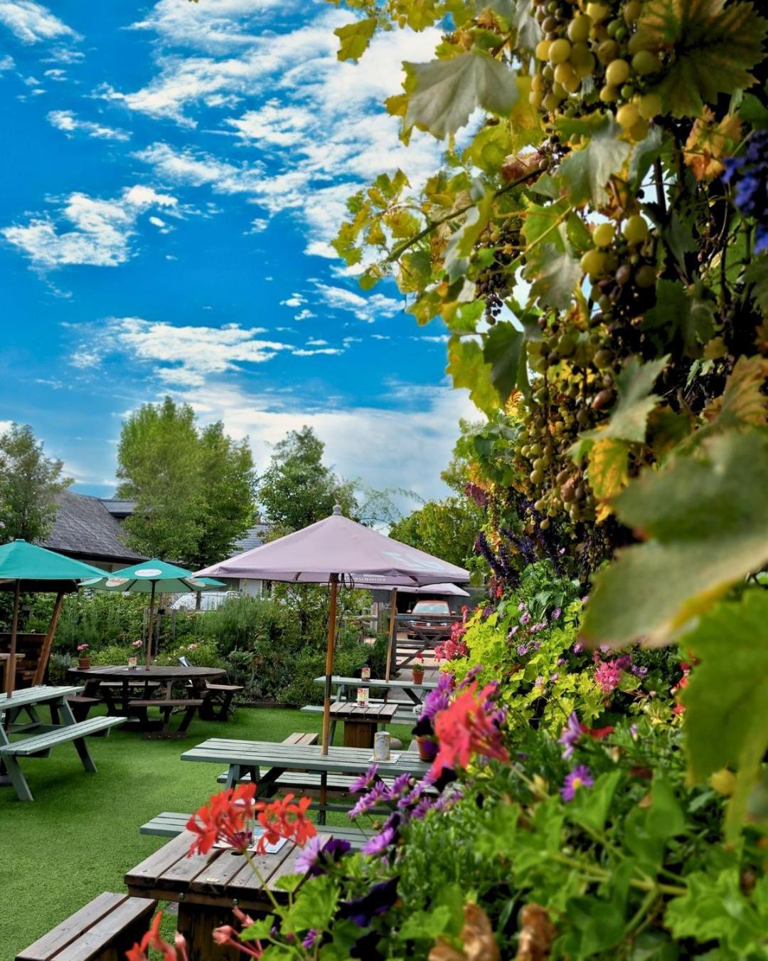 The Inn West End ووكينغ المظهر الخارجي الصورة